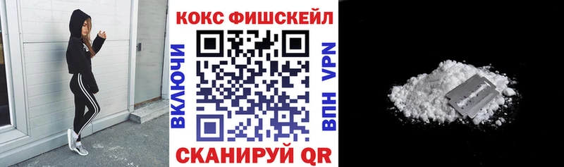 Cocaine FishScale  Купить  Калач 