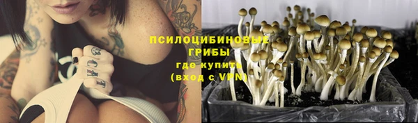 Альфа ПВП Инта