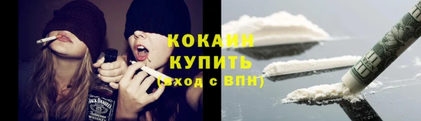 Альфа ПВП Инта