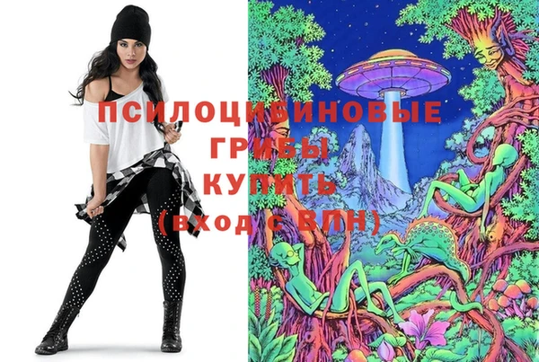МДПВ Иннополис