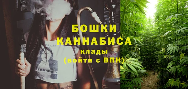 ALPHA-PVP Инсар