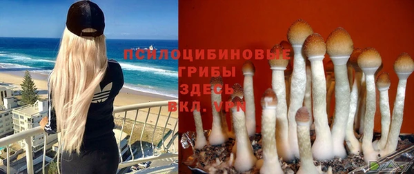 МДПВ Иннополис