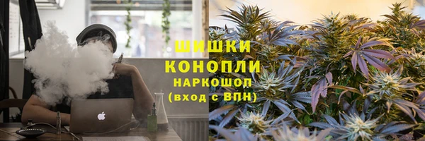 Альфа ПВП Инта