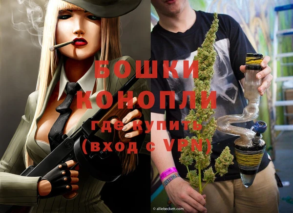 Альфа ПВП Инта