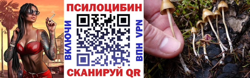 Купить где  Калач  Псилоцибиновые грибы Magic Shrooms 